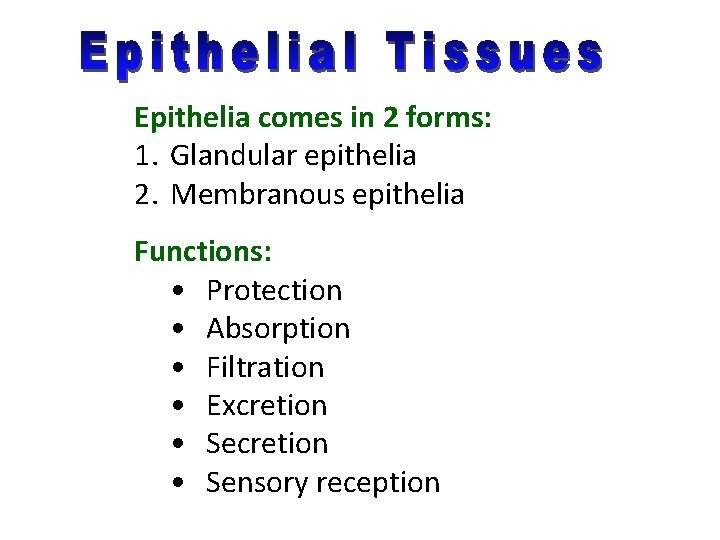 Epithelia comes in 2 forms: 1. Glandular epithelia 2. Membranous epithelia Functions: • Protection