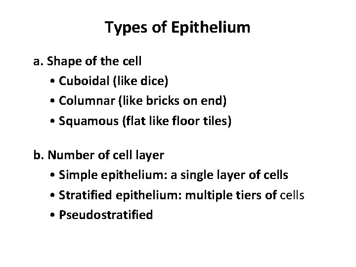 Types of Epithelium a. Shape of the cell • Cuboidal (like dice) • Columnar