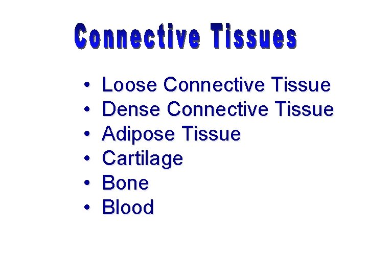  • • • Loose Connective Tissue Dense Connective Tissue Adipose Tissue Cartilage Bone