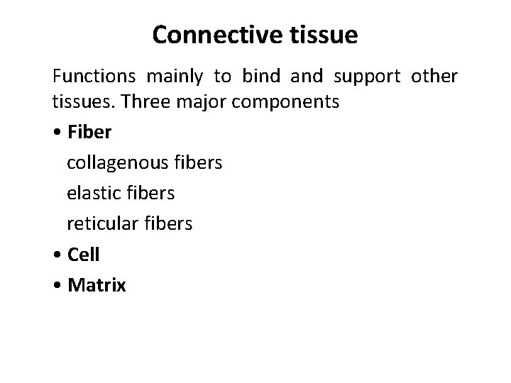 Connective tissue Functions mainly to bind and support other tissues. Three major components •