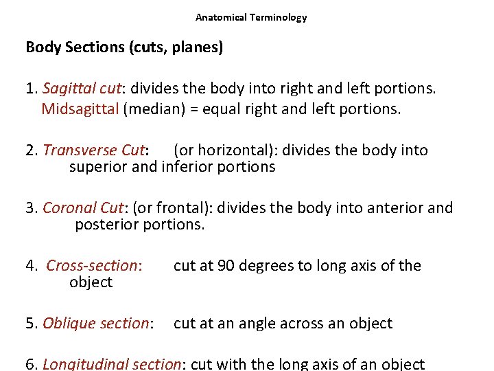 Anatomical Terminology Body Sections (cuts, planes) 1. Sagittal cut: divides the body into right