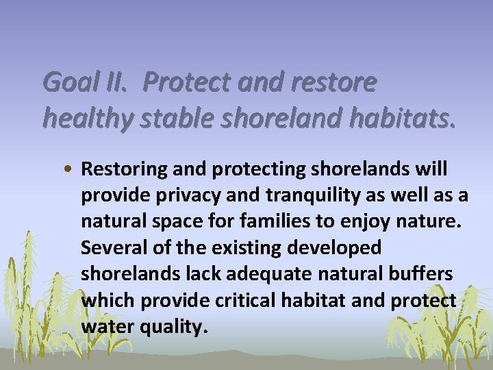 Goal II. Protect and restore healthy stable shoreland habitats. • Restoring and protecting shorelands