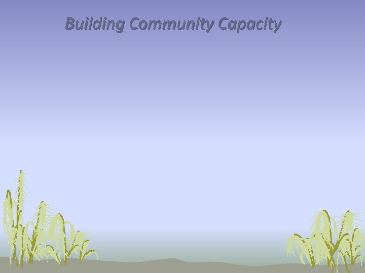 Building Community Capacity 