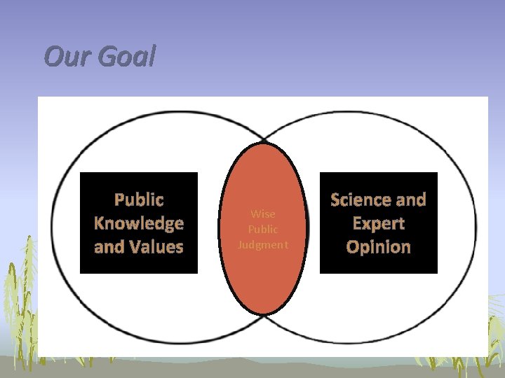 Our Goal Public Knowledge and Values Wise Public Judgment Science and Expert Opinion 