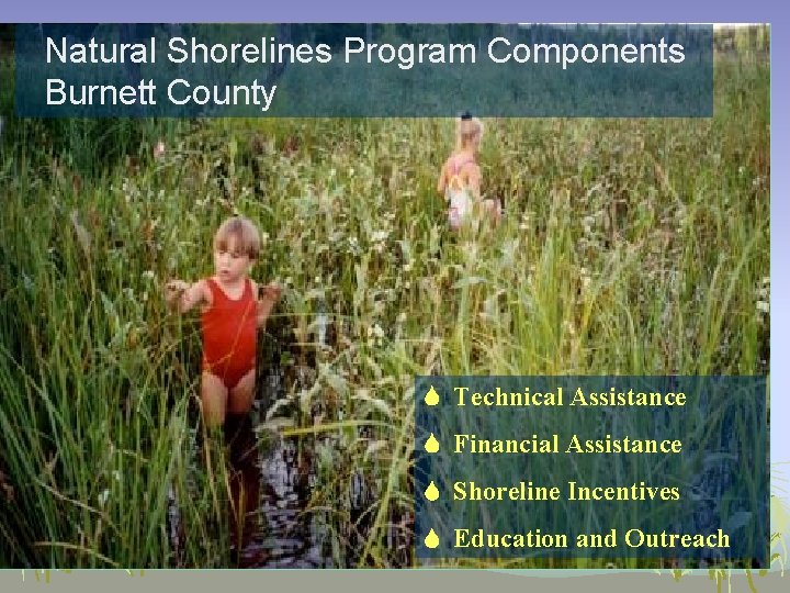 Natural Shorelines Program Components Burnett County Technical Assistance Financial Assistance Shoreline Incentives Education and