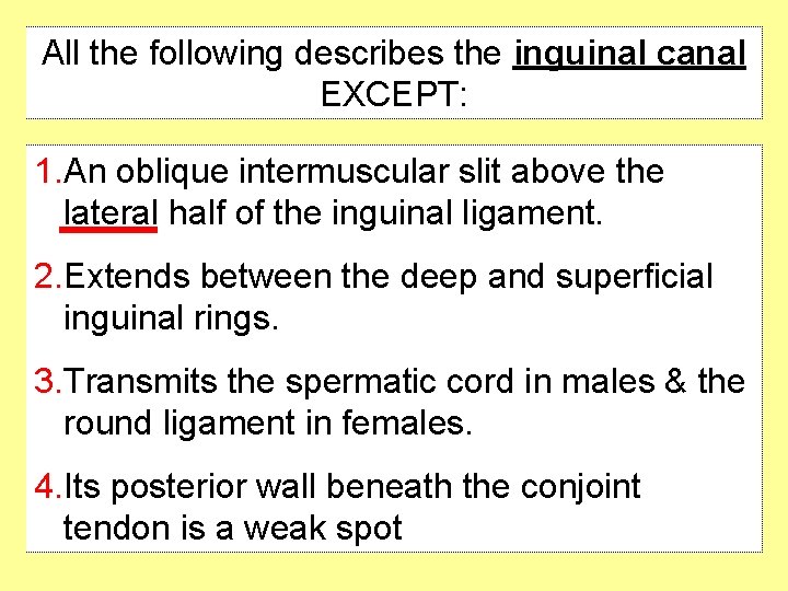 All the following describes the inguinal canal EXCEPT: 1. An oblique intermuscular slit above