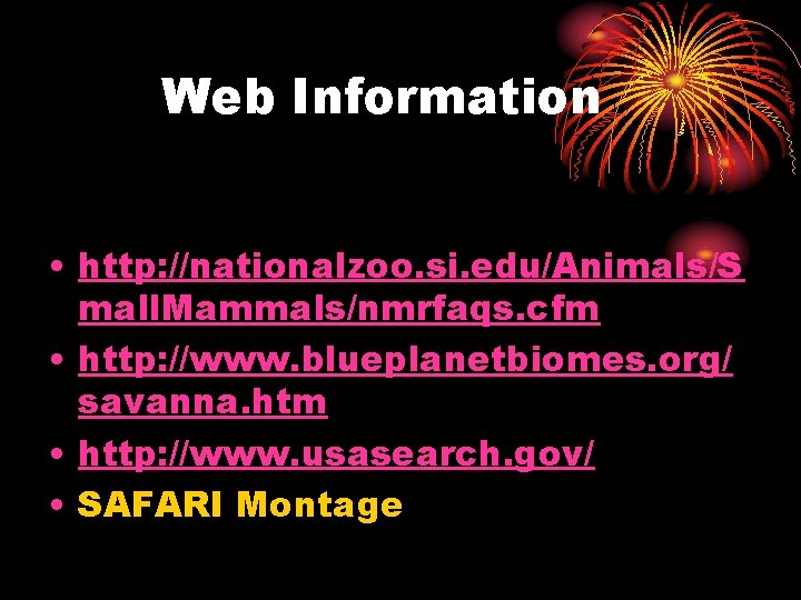 Web Information • http: //nationalzoo. si. edu/Animals/S mall. Mammals/nmrfaqs. cfm • http: //www. blueplanetbiomes.
