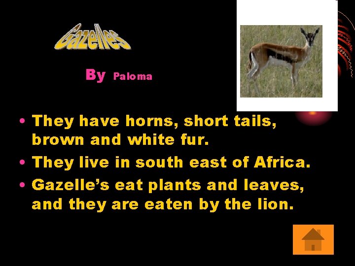 By Paloma • They have horns, short tails, brown and white fur. • They