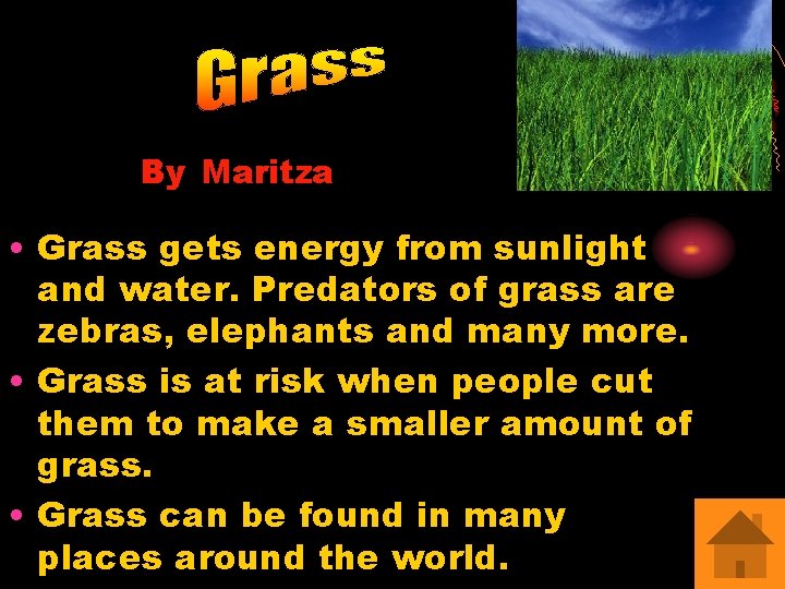By Maritza • Grass gets energy from sunlight and water. Predators of grass are