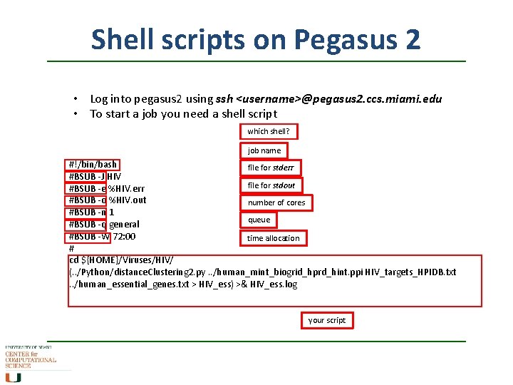 Shell scripts on Pegasus 2 • Log into pegasus 2 using ssh <username>@pegasus 2.