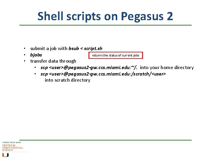 Shell scripts on Pegasus 2 • submit a job with bsub < script. sh