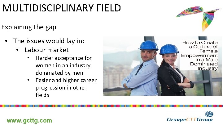 MULTIDISCIPLINARY FIELD Explaining the gap • The issues would lay in: • Labour market