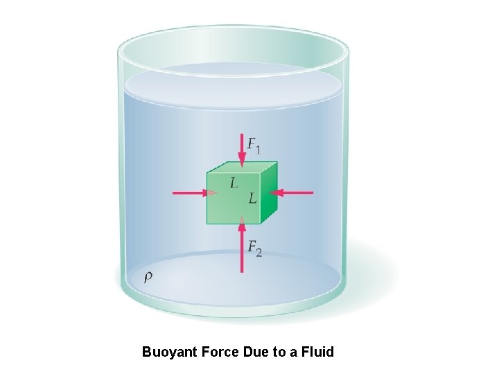 Buoyant Force Due to a Fluid 
