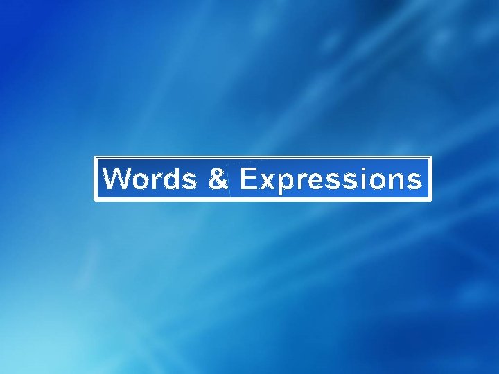 Words & Expressions 