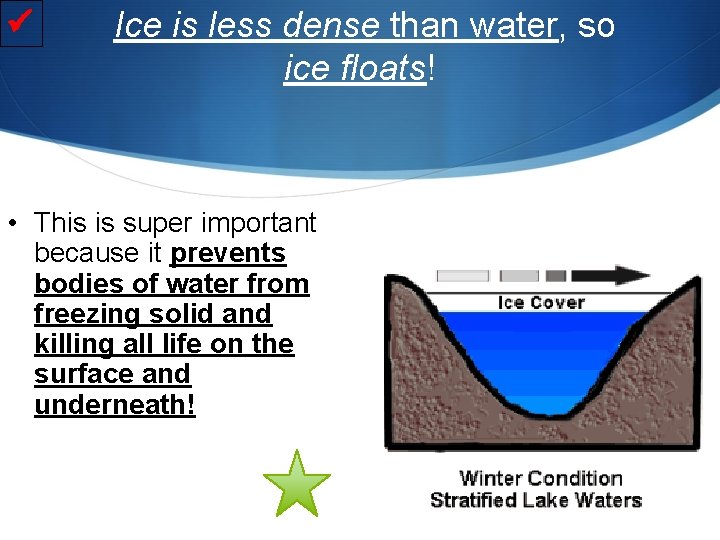  Ice is less dense than water, so ice floats! • This is super