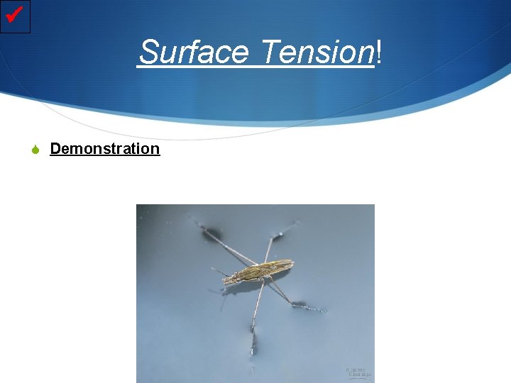  Surface Tension! S Demonstration 
