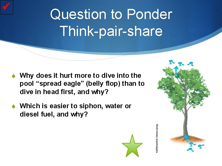  Question to Ponder Think-pair-share S Why does it hurt more to dive into