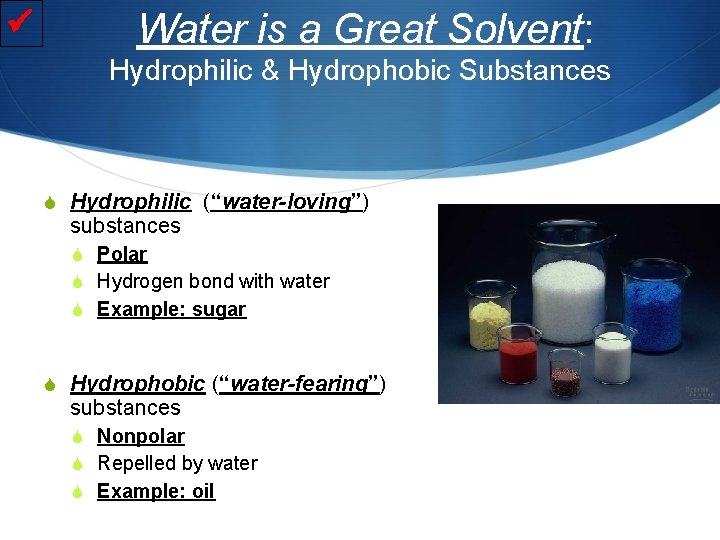  Water is a Great Solvent: Hydrophilic & Hydrophobic Substances S Hydrophilic (“water-loving”) substances
