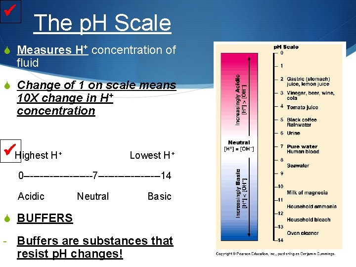  The p. H Scale S Measures H+ concentration of fluid S Change of