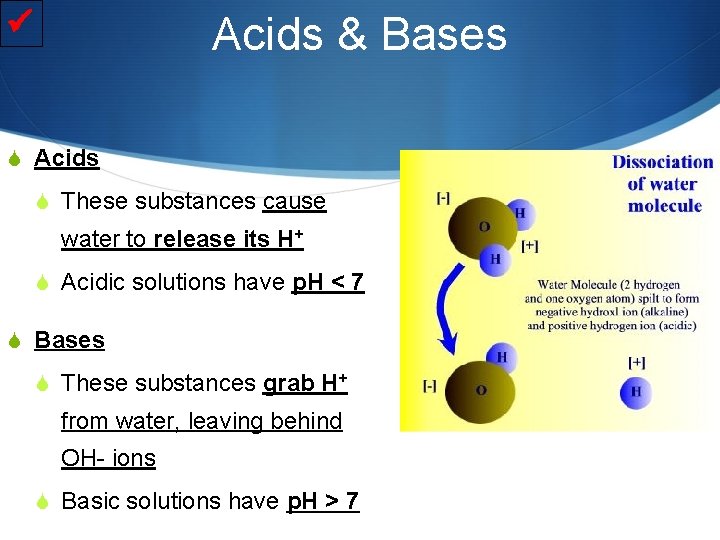  Acids & Bases S Acids S These substances cause water to release its