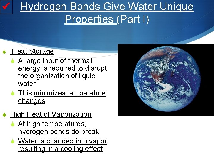  Hydrogen Bonds Give Water Unique Properties (Part I) S Heat Storage S A