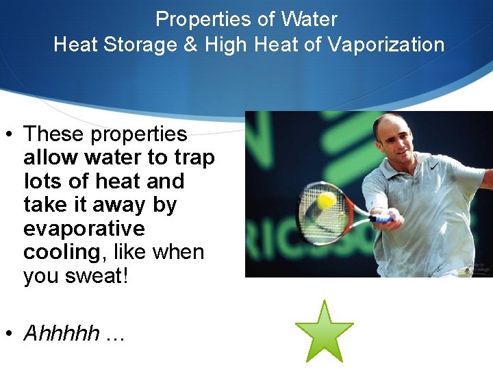 Properties of Water Heat Storage & High Heat of Vaporization • These properties allow