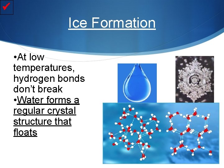  Ice Formation • At low temperatures, hydrogen bonds don’t break • Water forms
