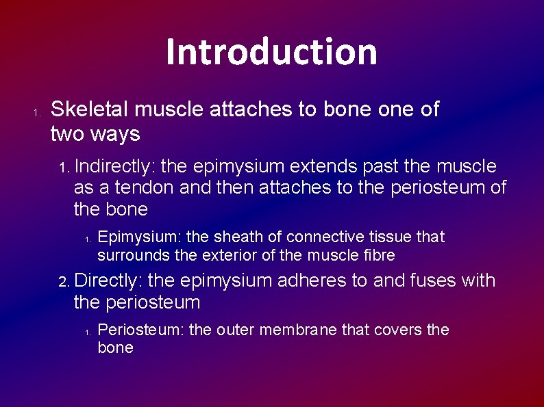 Introduction 1. Skeletal muscle attaches to bone of two ways 1. Indirectly: the epimysium