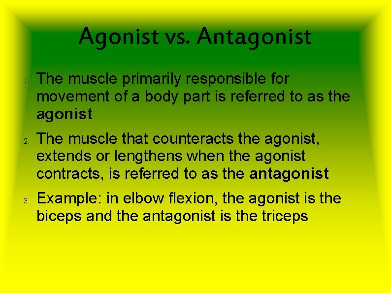Agonist vs. Antagonist 1. 2. 3. The muscle primarily responsible for movement of a