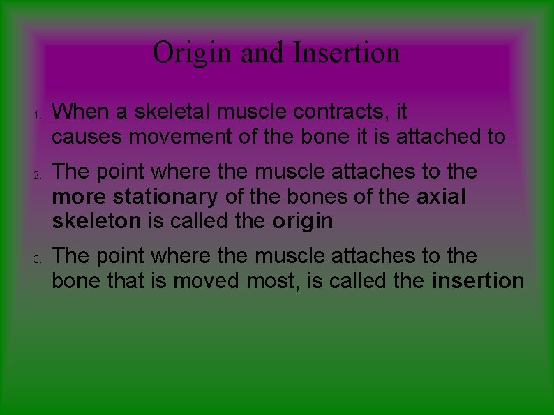 Origin and Insertion 1. 2. 3. When a skeletal muscle contracts, it causes movement