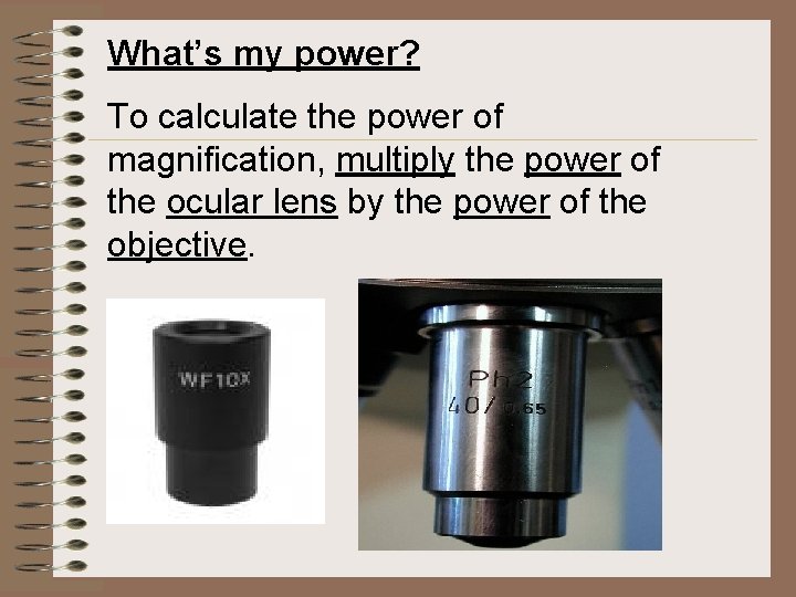 Introduction to the Microscope Care Parts Focusing BELL