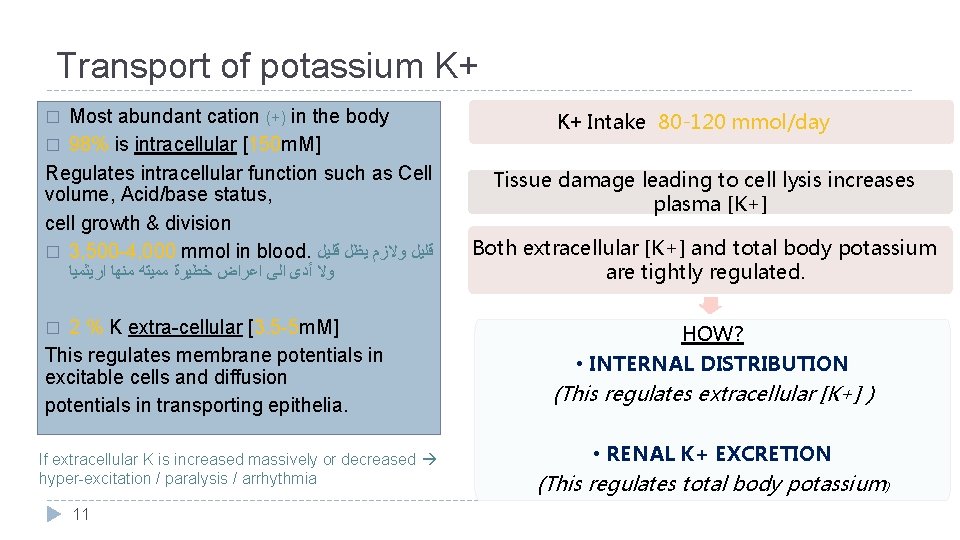 Transport of potassium K+ Most abundant cation (+) in the body � 98% is