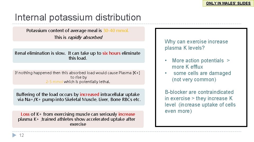 ONLY IN MALES’ SLIDES Internal potassium distribution Potassium content of average meal is 30
