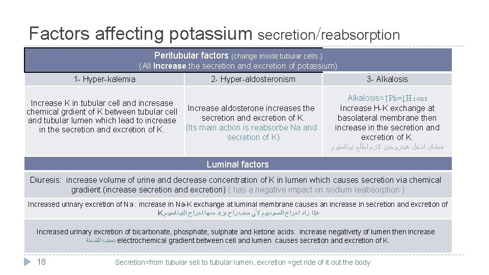 Factors affecting potassium secretion/reabsorption Peritubular factors (change inside tubular cells. ) (All Increase the