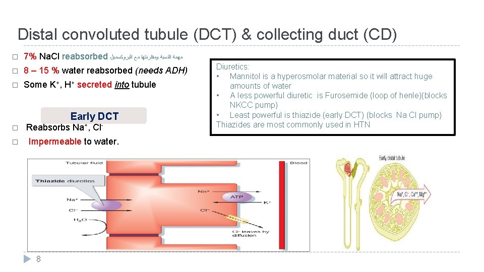 Distal convoluted tubule (DCT) & collecting duct (CD) � 7% Na. Cl reabsorbed ﻣﻬﻤﺔ