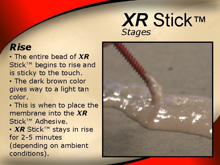 XR Stick ™ Stages Rise • The entire bead of XR Stick™ begins to