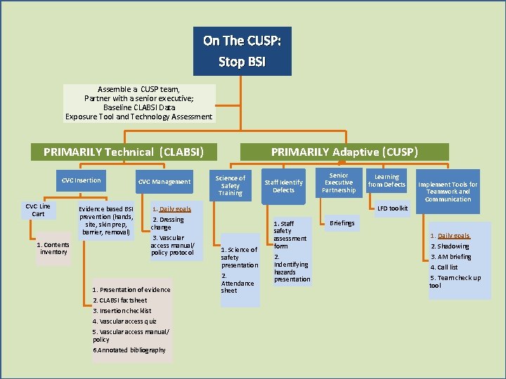 On The CUSP: Stop BSI Assemble a CUSP team, Partner with a senior executive;