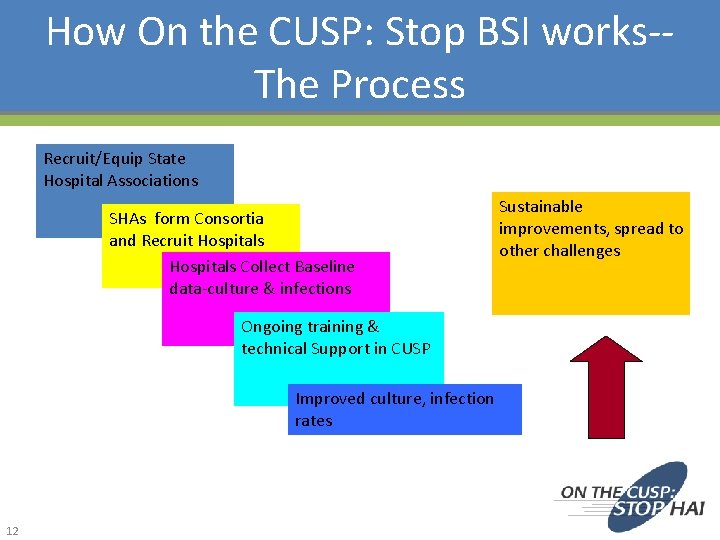 How On the CUSP: Stop BSI works-The Process Recruit/Equip State Hospital Associations SHAs form