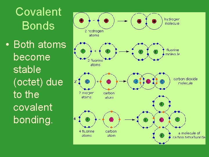 Covalent Bonds • Both atoms become stable (octet) due to the covalent bonding. 