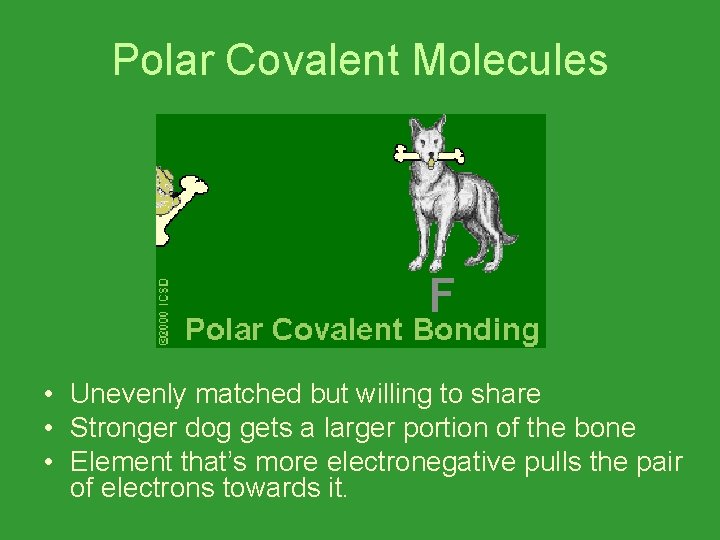 Polar Covalent Molecules • Unevenly matched but willing to share • Stronger dog gets