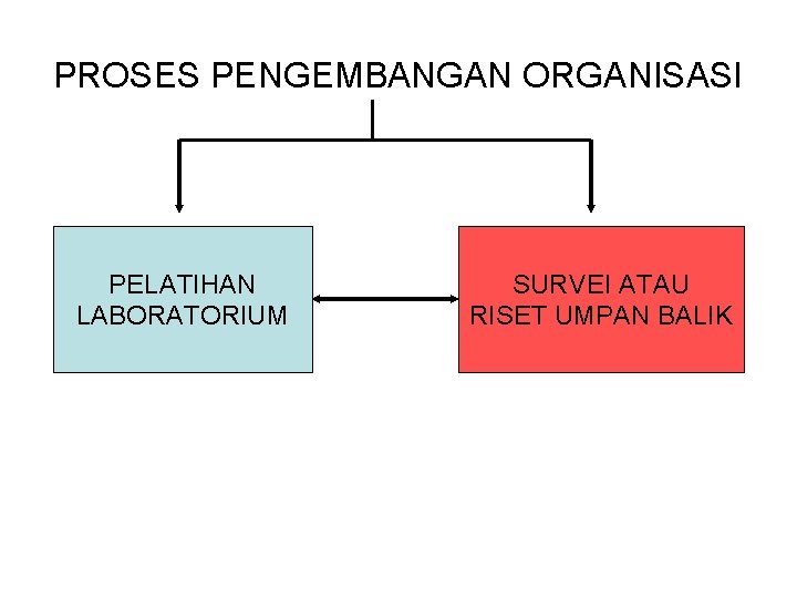 PROSES PENGEMBANGAN ORGANISASI PELATIHAN LABORATORIUM SURVEI ATAU RISET UMPAN BALIK 