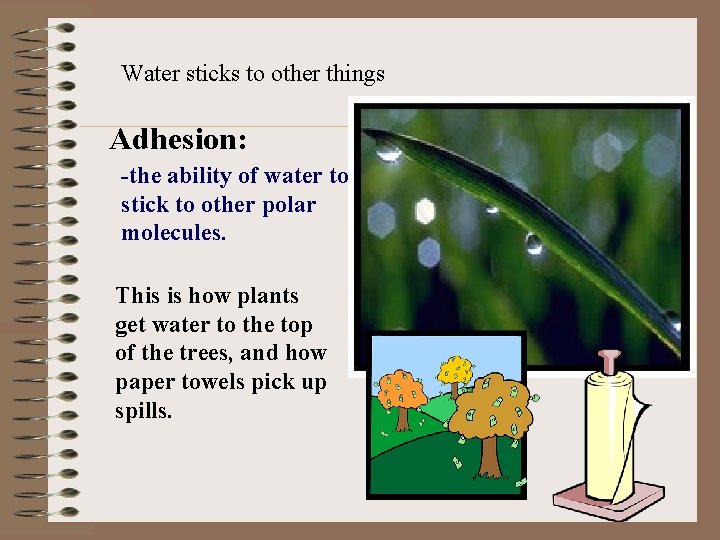 Biochemistry Vocabulary Define Biomolecule Carbohydrate Lipid Protein