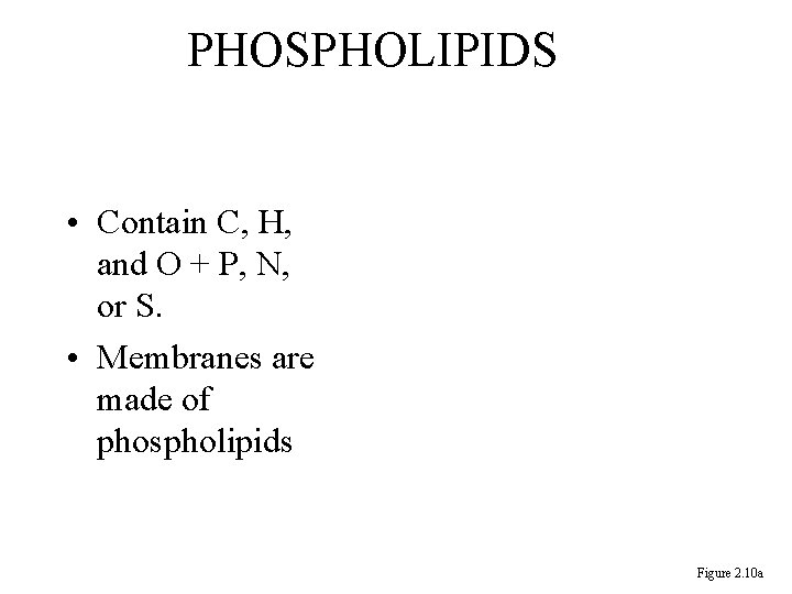 PHOSPHOLIPIDS • Contain C, H, and O + P, N, or S. • Membranes PHOSPHOLIPIDS • Contain C, H, and O + P, N, or S. • Membranes