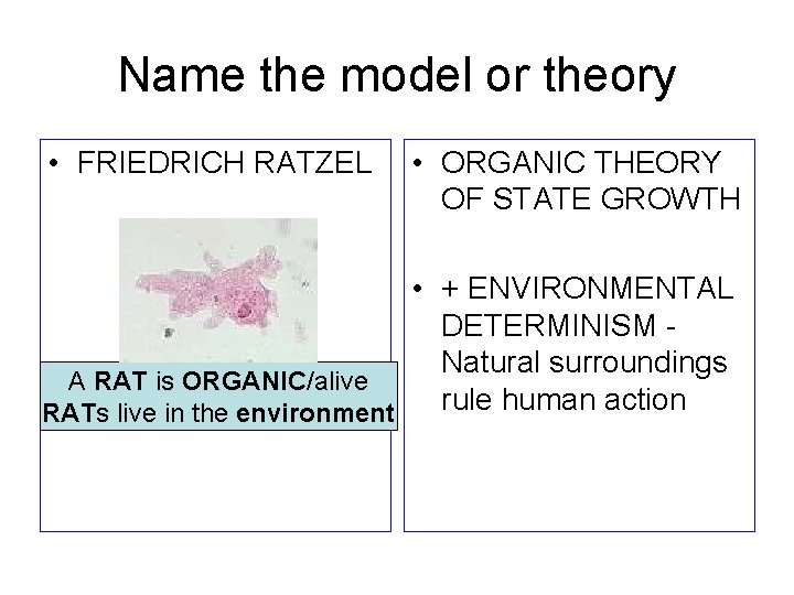 Name the model or theory • FRIEDRICH RATZEL • ORGANIC THEORY OF STATE GROWTH