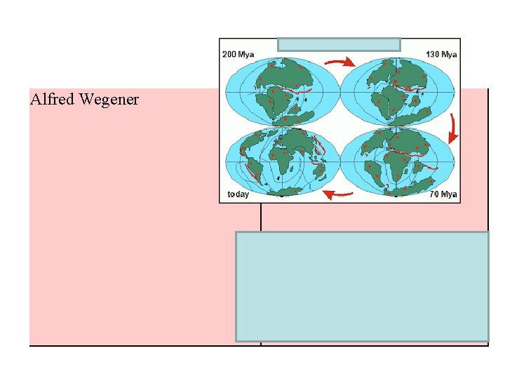 Alfred Wegener Continental drift (1915): hypothesized that the continents were slowly drifting around the