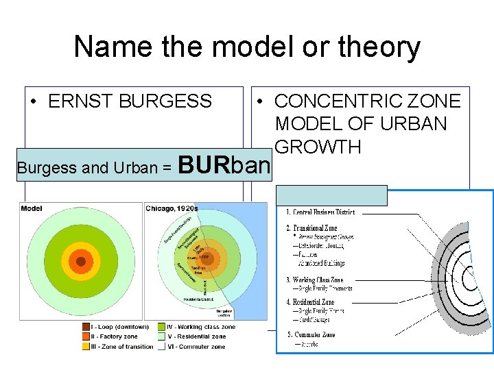 Name the model or theory • ERNST BURGESS • CONCENTRIC ZONE MODEL OF URBAN