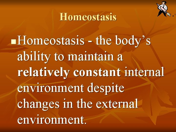 Homeostasis n Homeostasis - the body’s ability to maintain a relatively constant internal environment