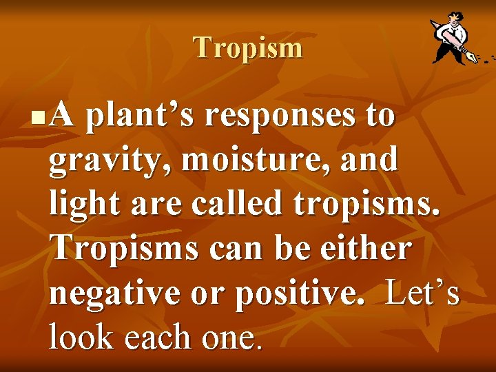 Tropism n A plant’s responses to gravity, moisture, and light are called tropisms. Tropisms