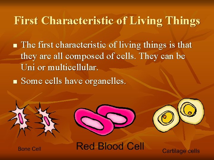 First Characteristic of Living Things n n The first characteristic of living things is
