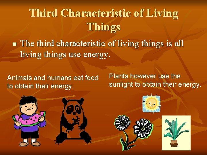 Third Characteristic of Living Things n The third characteristic of living things is all
